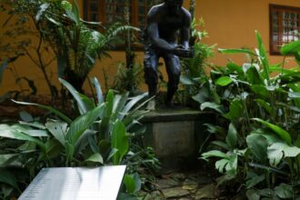 placa-homenageia11-escravizados-que-reflorestaram-floresta-da-tijuca