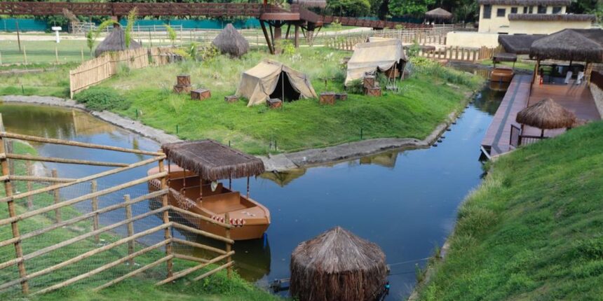 sobe-para-16-numero-de-galinhas-dangola-mortas-no-bioparque-do-rio