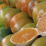 excecoes-do-tarifaco-representam-43,4%-do-valor-exportado-aos-eua