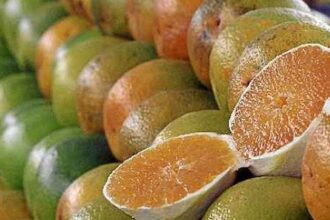 excecoes-do-tarifaco-representam-43,4%-do-valor-exportado-aos-eua