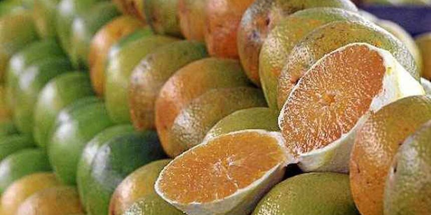 excecoes-do-tarifaco-representam-43,4%-do-valor-exportado-aos-eua