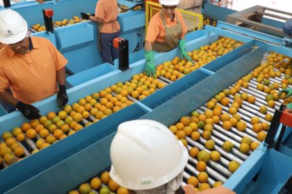 confira-a-lista-de-quase-700-produtos-que-nao-serao-taxados-pelos-eua