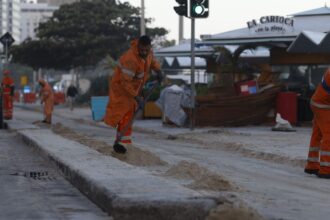 apos-ondas-gigantes,-cinco-pinguins-aparecem-mortos-na-orla-do-rio