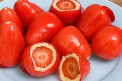 conselho-federal-de-odontologia-alerta-sobre-riscos-do-morango-do-amor