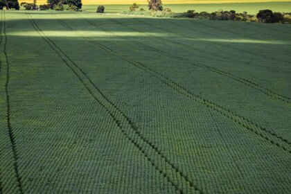 cop30:-agro-quer-se-posicionar-como-parte-da-solucao,-diz-associacao