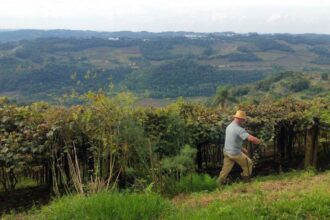 entrega-da-declaracao-do-itr-2025-comeca-nesta-segunda-feira