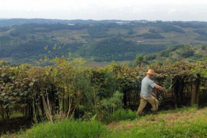 entrega-da-declaracao-do-itr-2025-comeca-nesta-segunda-feira