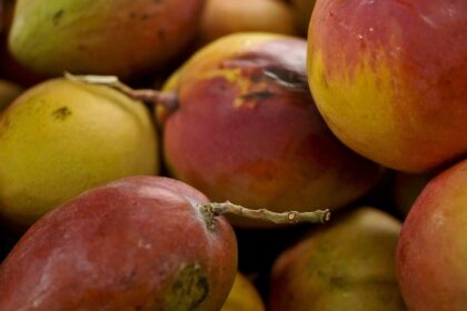 abrafrutas-apoia-plano-e-pede-atencao-a-pequenos-produtores