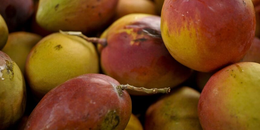 abrafrutas-apoia-plano-e-pede-atencao-a-pequenos-produtores
