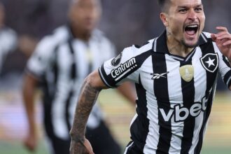 botafogo-vence-ldu-na-libertadores-com-gol-relampago