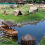 zoologico-do-rio-reabre-ao-publico-nesta-quinta-apos-mortes-de-aves