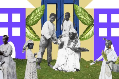 exposicoes-no-sesc-abrem-temporada-franca-brasil-2025-em-sao-paulo