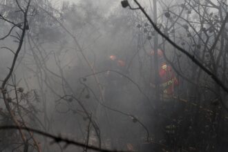 ue:-incendios-florestais-ja-queimaram-mais-de-1-milhao-de-hectares