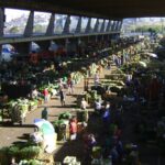 ceagesp-devolve-a-comerciantes-r$-90-milhoes-de-iptu-indevido