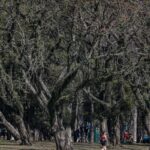 cidade-de-sao-paulo-tem-agosto-mais-seco-desde-2020