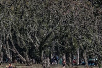 cidade-de-sao-paulo-tem-agosto-mais-seco-desde-2020