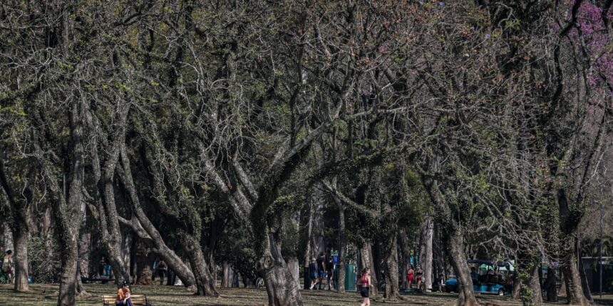 cidade-de-sao-paulo-tem-agosto-mais-seco-desde-2020