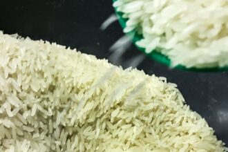 conab-anuncia-r$-300-milhoes-para-produtores-de-arroz-na-safra-2025/26