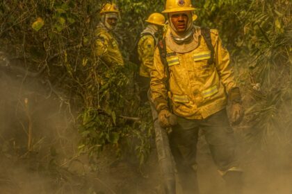 fotografo-da-agencia-brasil-e-destaque-em-premio-internacional