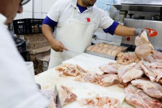 uniao-europeia-reconhece-o-brasil-como-livre-de-gripe-aviaria