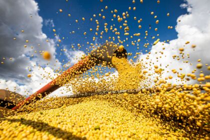 valor-da-producao-agricola-brasileira-recua-3,9%-em-2024,-mostra-ibge