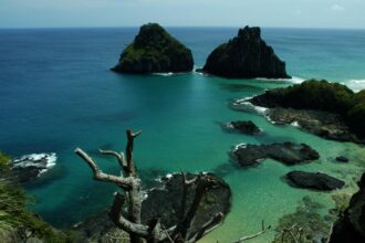 quase-50%-dos-turistas-usam-redes-como-fonte-de-informacao-de-viagem