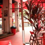 procon-sp-multara-estabelecimento-que-descumprirprotocolo-para-mulher