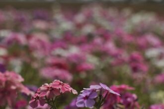 primavera-comeca-com-chegada-de-frente-fria,-temporais-e-fortes-ventos
