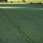 prazo-para-entregar-declaracao-do-itr-2025-termina-nesta-terca-feira