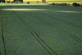 prazo-para-entregar-declaracao-do-itr-2025-termina-nesta-terca-feira