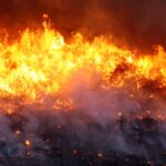 quatro-equipes-de-brigadistas-combatem-incendio-em-cavalcante-(go)