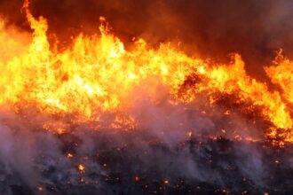 quatro-equipes-de-brigadistas-combatem-incendio-em-cavalcante-(go)