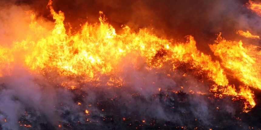 quatro-equipes-de-brigadistas-combatem-incendio-em-cavalcante-(go)