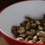 agricultura-familiar-do-nordeste-vai-a-maior-feira-mundial-alimentos