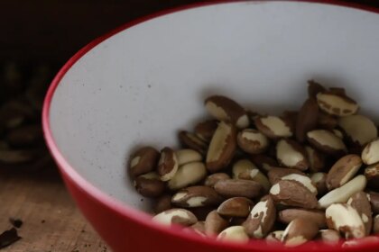 agricultura-familiar-do-nordeste-vai-a-maior-feira-mundial-alimentos