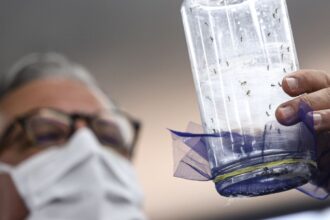 fabrica-de-mosquitos-oferece-tecnologias-para-reducao-da-dengue