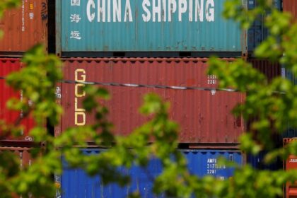 brasil-aumenta-exportacao-de-soja-para-a-china,-ocupando-lugar-dos-eua