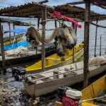 inicio-do-defeso-da-piracema-restringe-pesca-comercial-no-pais