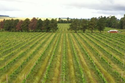 cmn-restringe-linha-especial-de-r$-12-bilhoes-a-produtores-do-rs