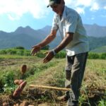 bndes-vai-liberar-r$-12-bi-para-produtores-rurais-com-perdas-de-safra