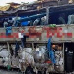 acidente-com-onibus-em-pernambuco-deixa-ao-menos-15-mortos