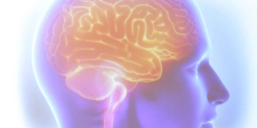 avc-mata-uma-pessoa-a-cada-seis-minutos-no-brasil