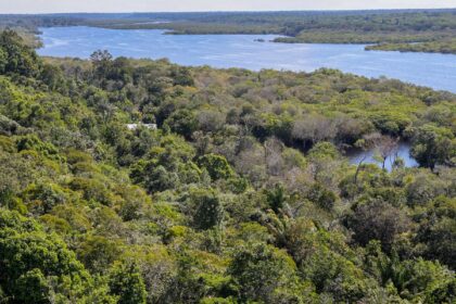 revista-the-economist-elogia-acoes-do-brasil-para-salvar-as-florestas