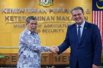 brasil-retoma-exportacoes-de-carne-de-frango-para-a-malasia