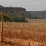 fronteira-cerrado:-acesso-desigual-ao-estado-agrava-conflitos-agrarios
