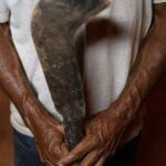 fronteira-cerrado:-desmatamento-gera-conflitos-por-terra-e-grilagem