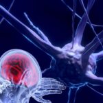 unesco-fazrecomendacao-inedita-para-uso-etico-da-neurotecnologia