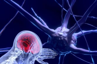 unesco-fazrecomendacao-inedita-para-uso-etico-da-neurotecnologia