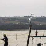 gestao-do-seguro-defeso-passa-oficialmente-ao-ministerio-do-trabalho