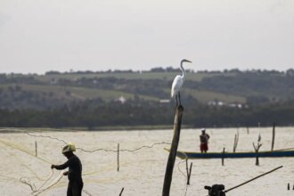 gestao-do-seguro-defeso-passa-oficialmente-ao-ministerio-do-trabalho